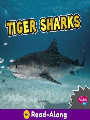 cover image of Tiger Sharks